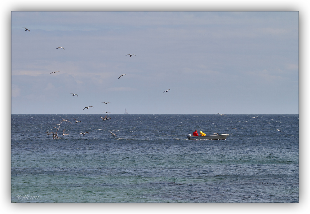 Fischerboot mit Möwen 2