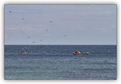 Fischerboot mit Möwen 2