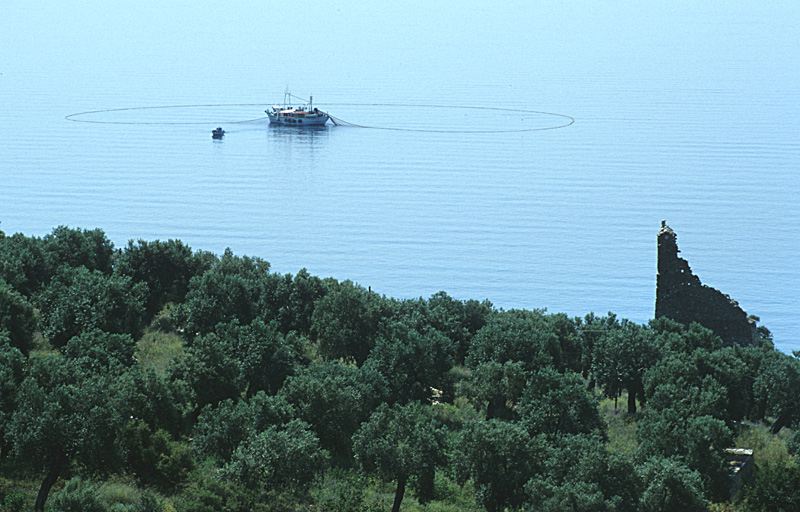 Fischerboot mit Netz