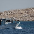 Fischerboot vor der griech. Insel Chalki