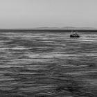Fischerboot vor der schottischen Küste