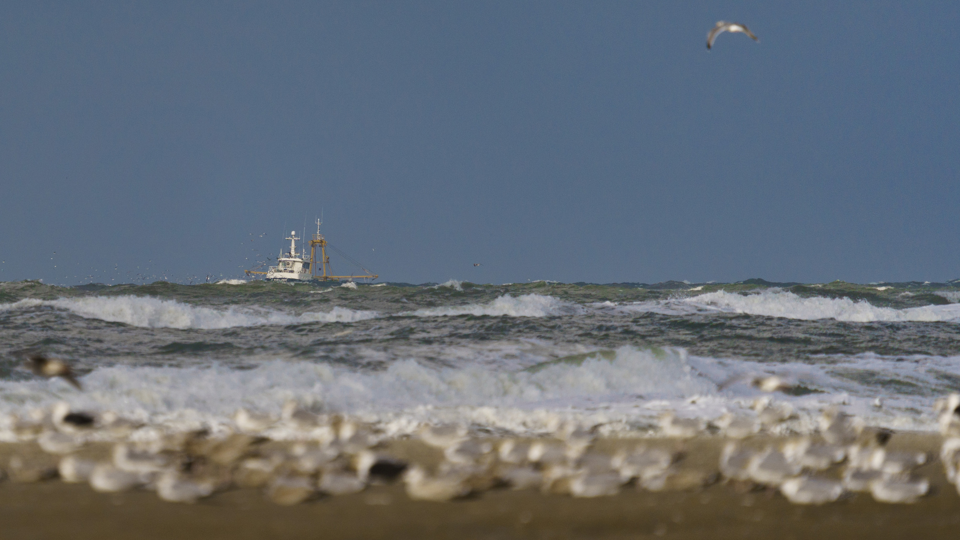 Fischerboot vor Texel, 13.11.2019