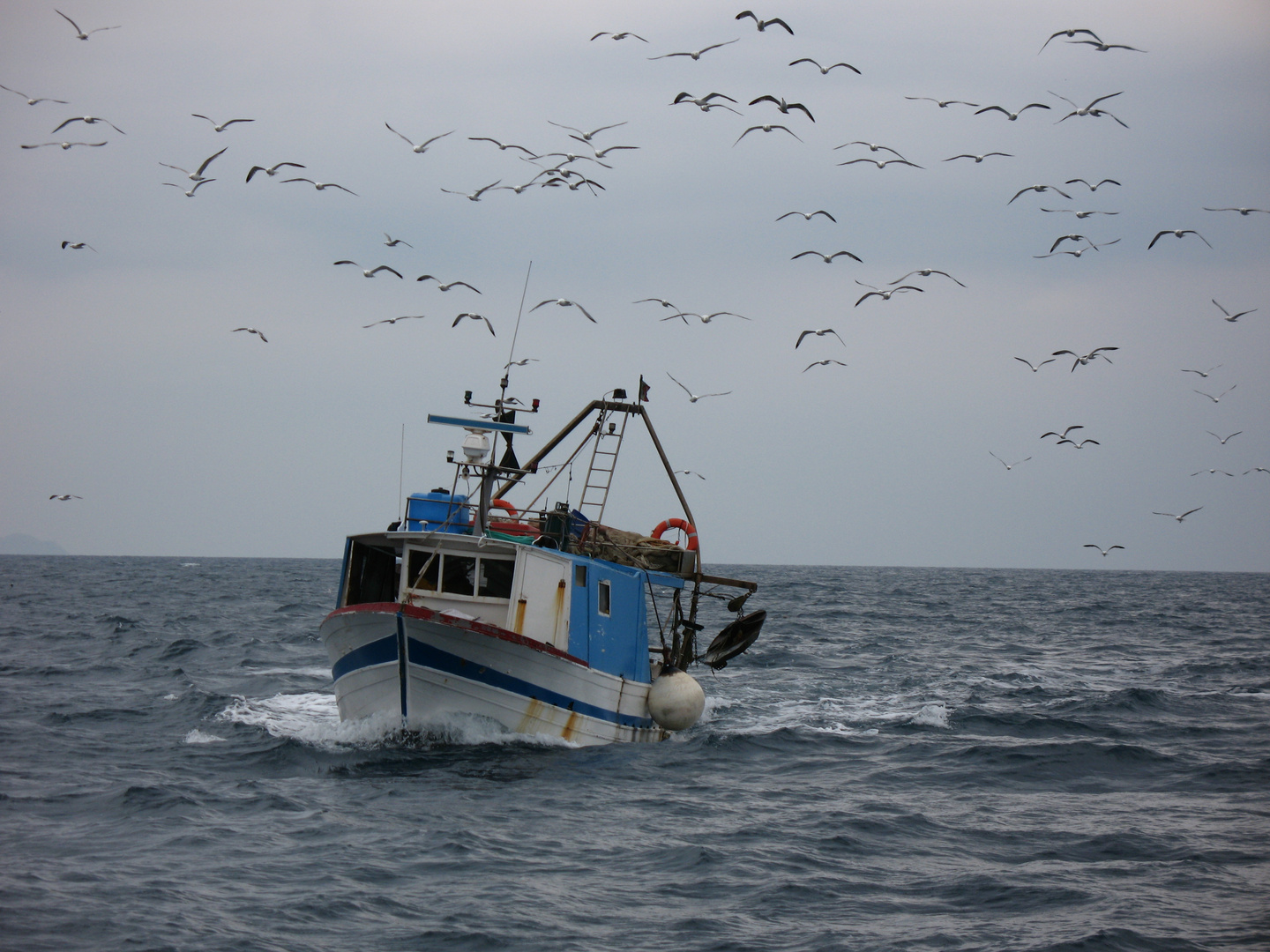 Fischerboote *6* - auf See