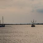 Fischerboote auf der Elbe