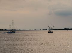 Fischerboote auf der Elbe