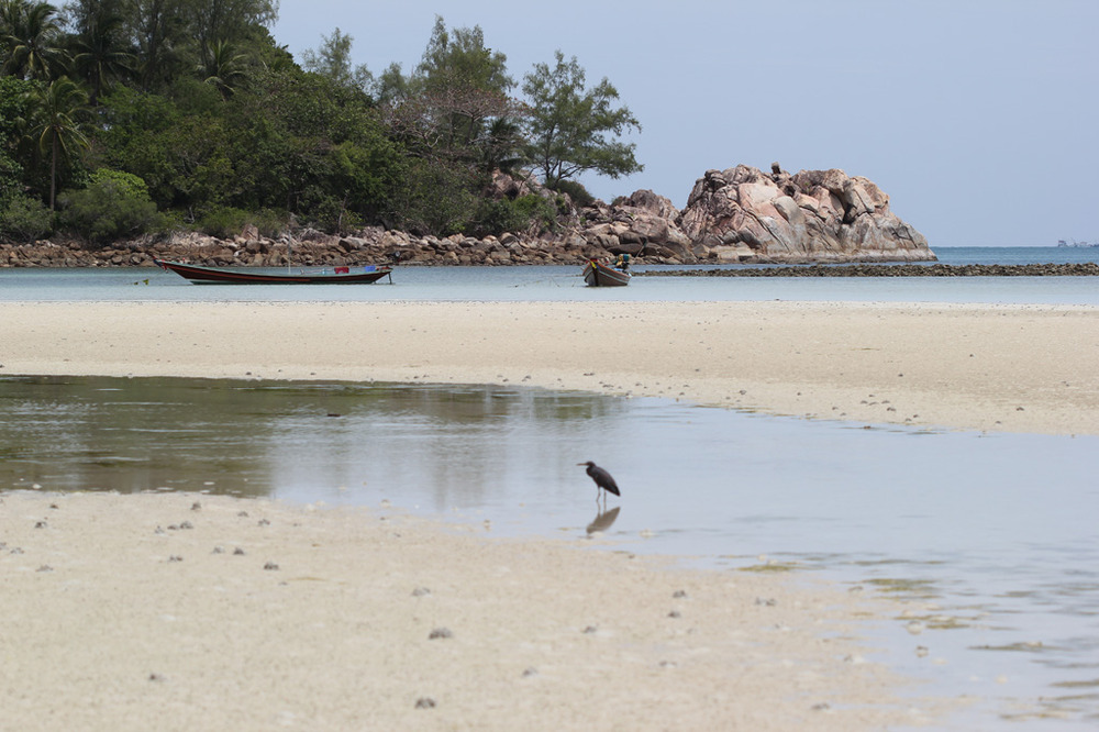 Fischerboote auf Koh Pha-ngan