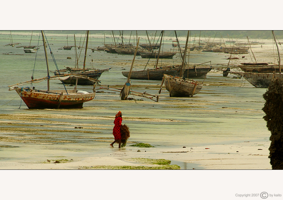 Fischerboote auf Zanzibar (#03)