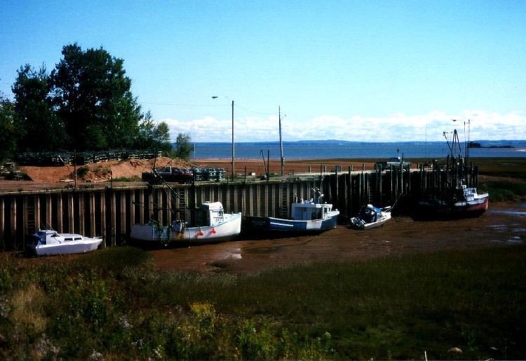Fischerboote bei Ebbe, Nova Scotia