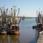 Fischerboote im Greetsieler Hafen