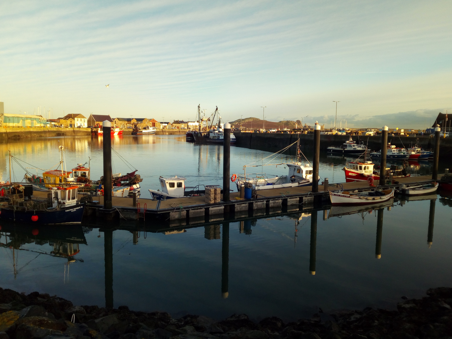 Fischerboote im Hafen - Howth