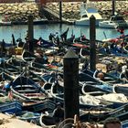 Fischerboote im Hafen von Agadir (Marokko)