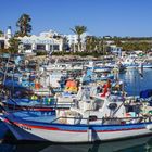 Fischerboote im Hafen von Agia Napa