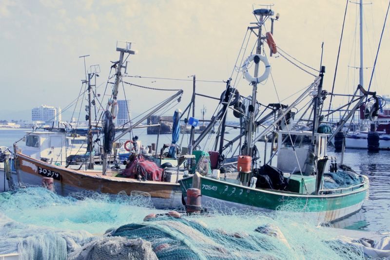 Fischerboote im Hafen von Akko