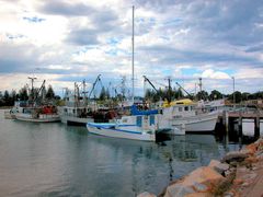 Fischerboote im Hafen von Bermagui