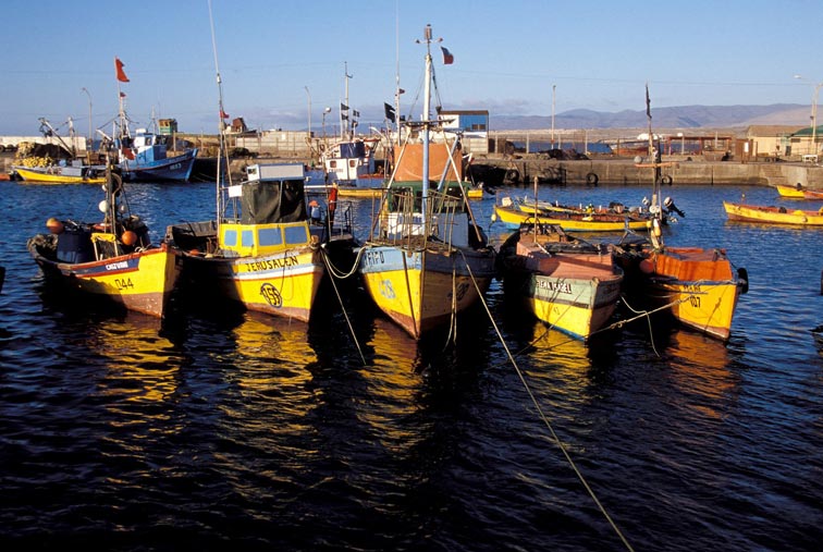 Fischerboote im Hafen von Caldera, Chile