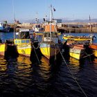 Fischerboote im Hafen von Caldera, Chile