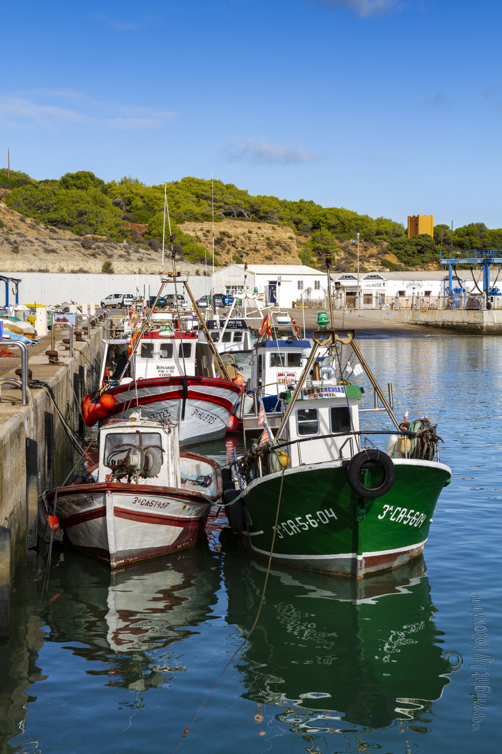 Fischerboote im Hafen von Conil (Andalusien)