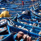 Fischerboote im Hafen von Essaouira