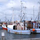 Fischerboote im Hafen von Hvidesande