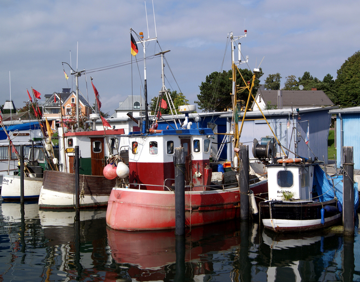 Fischerboote im Hafen von Niendorf Bild 2