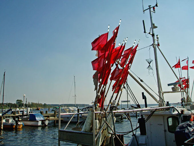 Fischerboote im Hafen von Rerik