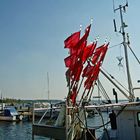 Fischerboote im Hafen von Rerik