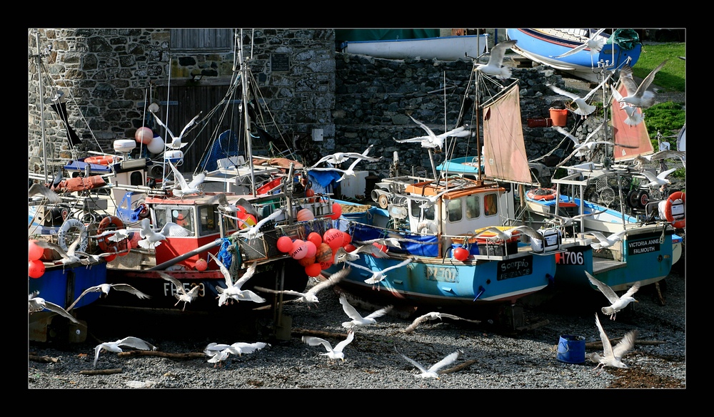 Fischerboote in Cadgwith...