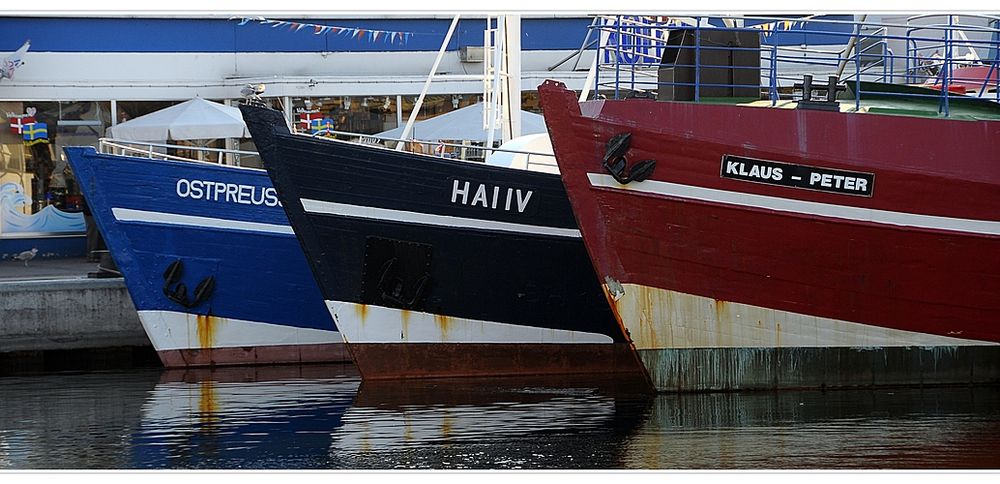 Fischerboote in Heiligenhafen