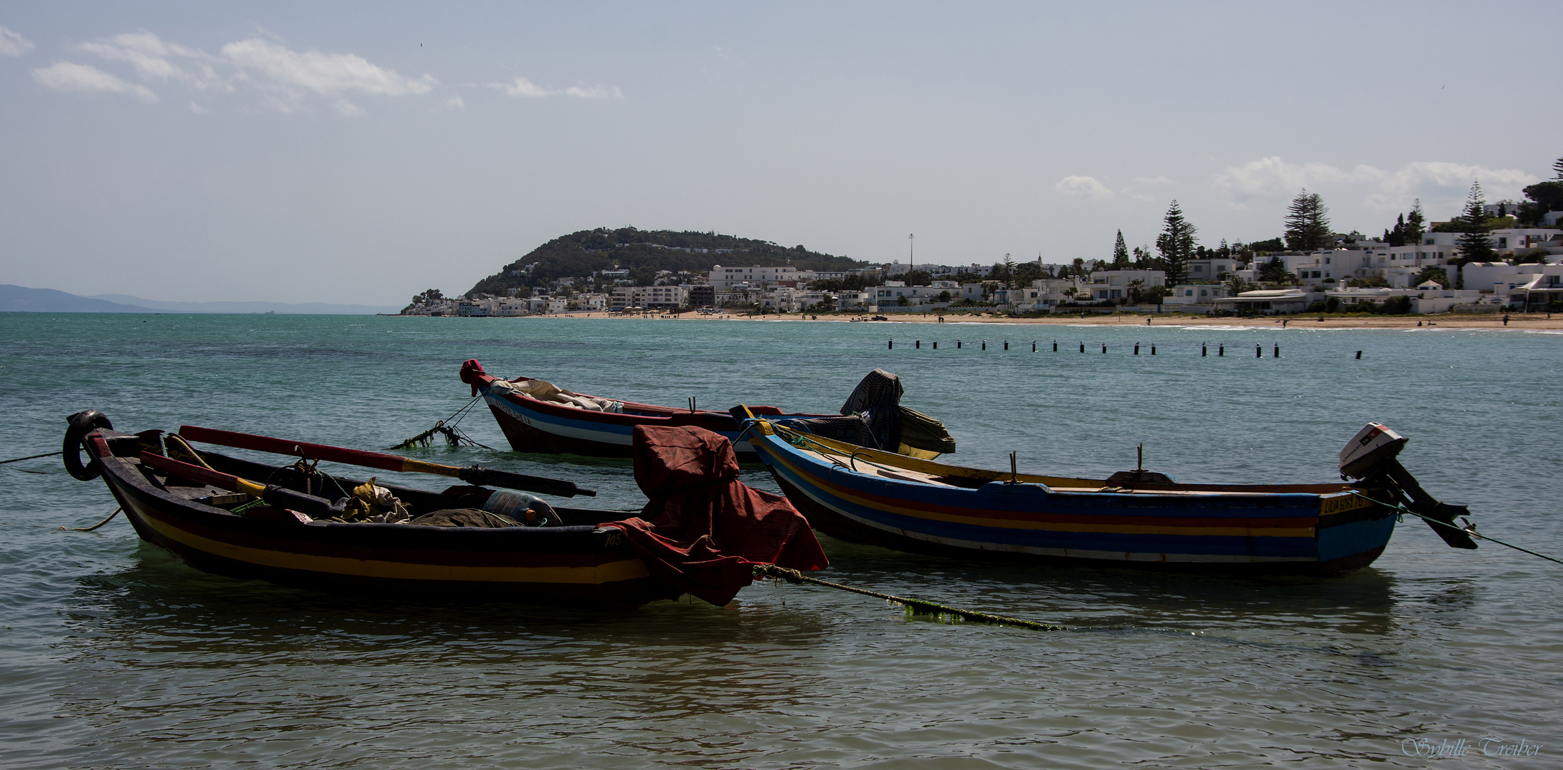 Fischerboote in La Marsa (Tunis)