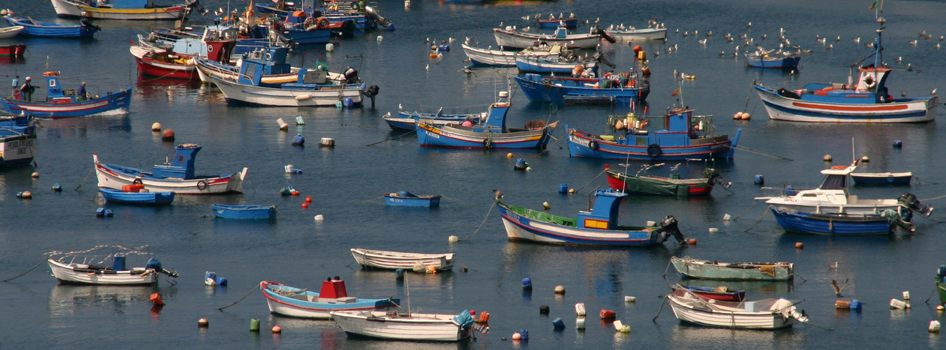 Fischerboote in Sines