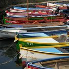 Fischerboote in Torri d. Benaco; Gardasee