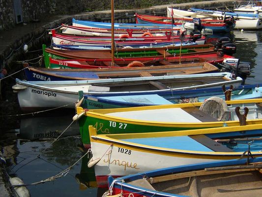 Fischerboote in Torri d. Benaco; Gardasee