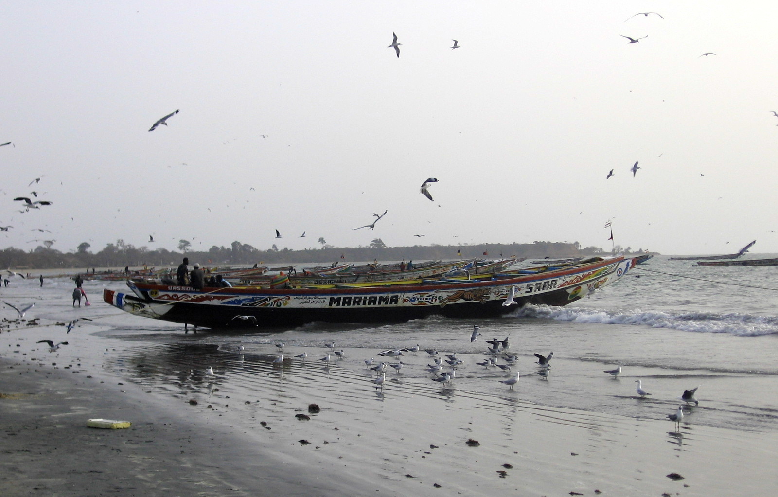 Fischerboote von Tanjeh, Gambia