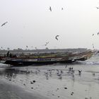 Fischerboote von Tanjeh, Gambia