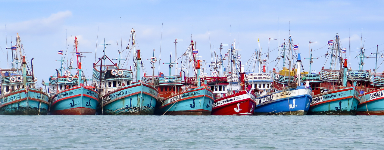 Fischerboote vor Koh Phangan