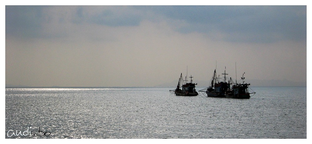 Fischerboote vor Koh Samui