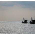 Fischerboote vor Koh Samui