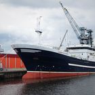 Fischerei-Fabrikschiff 