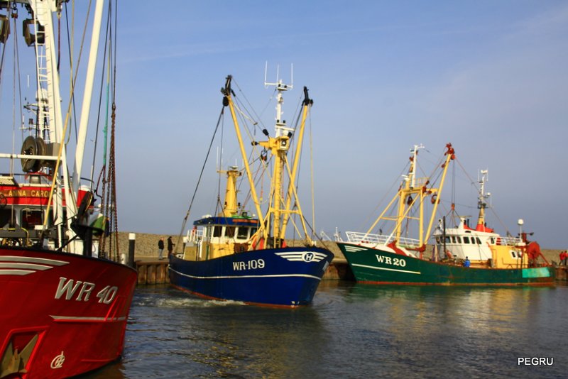 Fischereifahrzeuge im Hooksieler Hafen