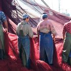 Fischereihafen Agadir, Teamwork