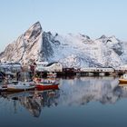 Fischereihafen auf den Lofoten