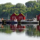 Fischereihafen Boltenhagen 1