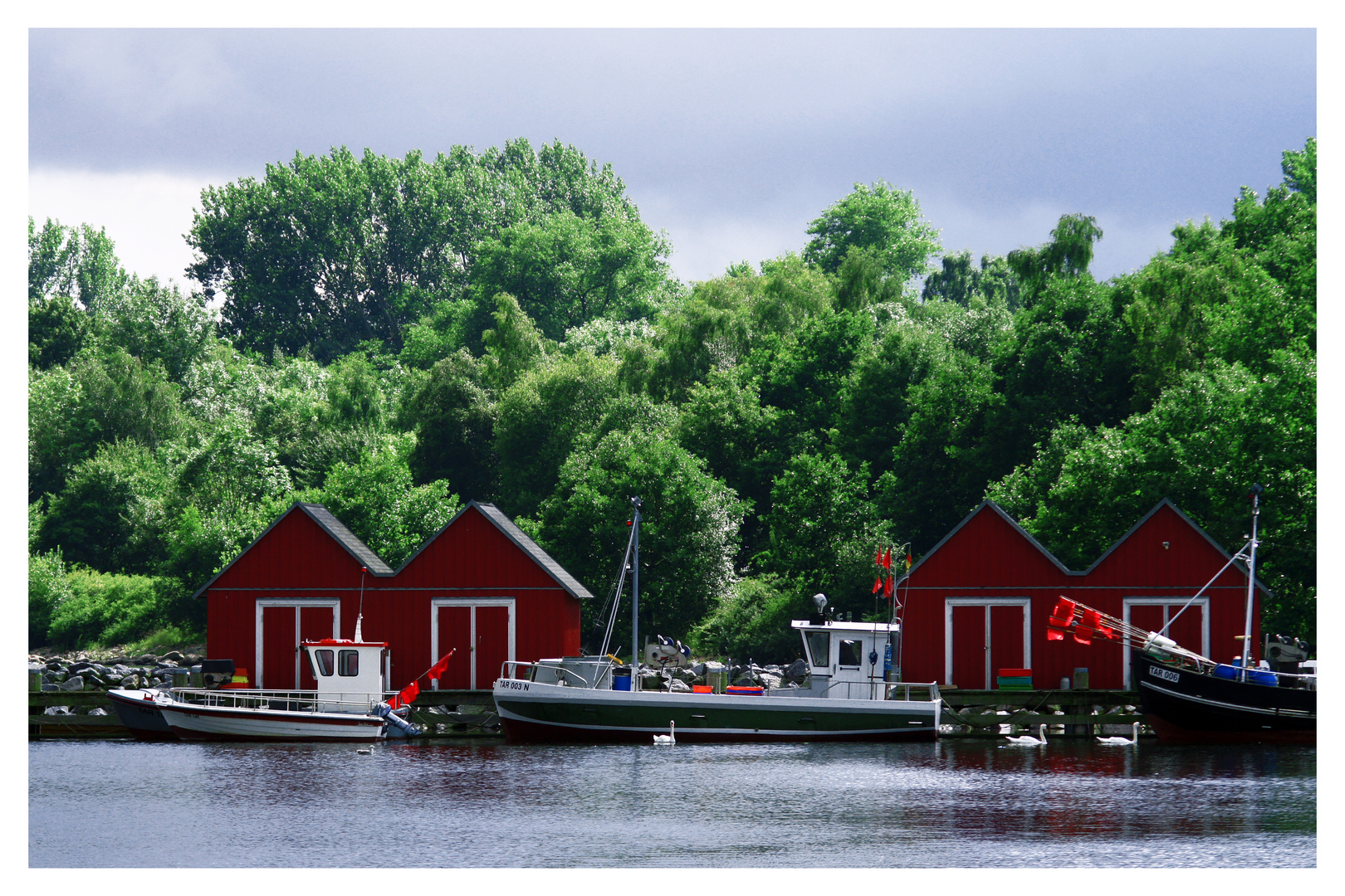 fischereihafen boltenhagen