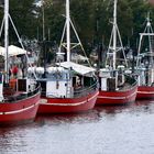 Fischereihafen Eckernförde