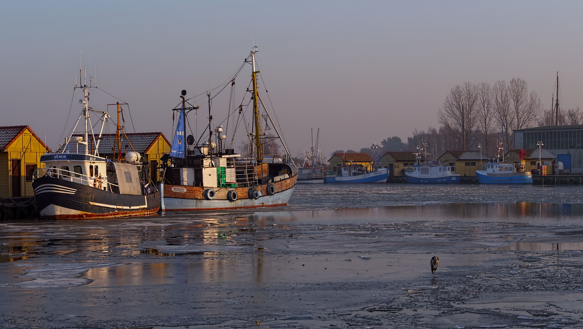 Fischereihafen Freest