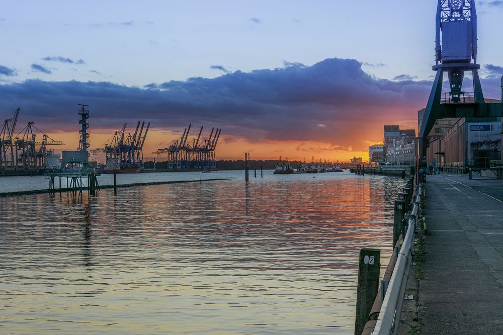 Fischereihafen Hamburg