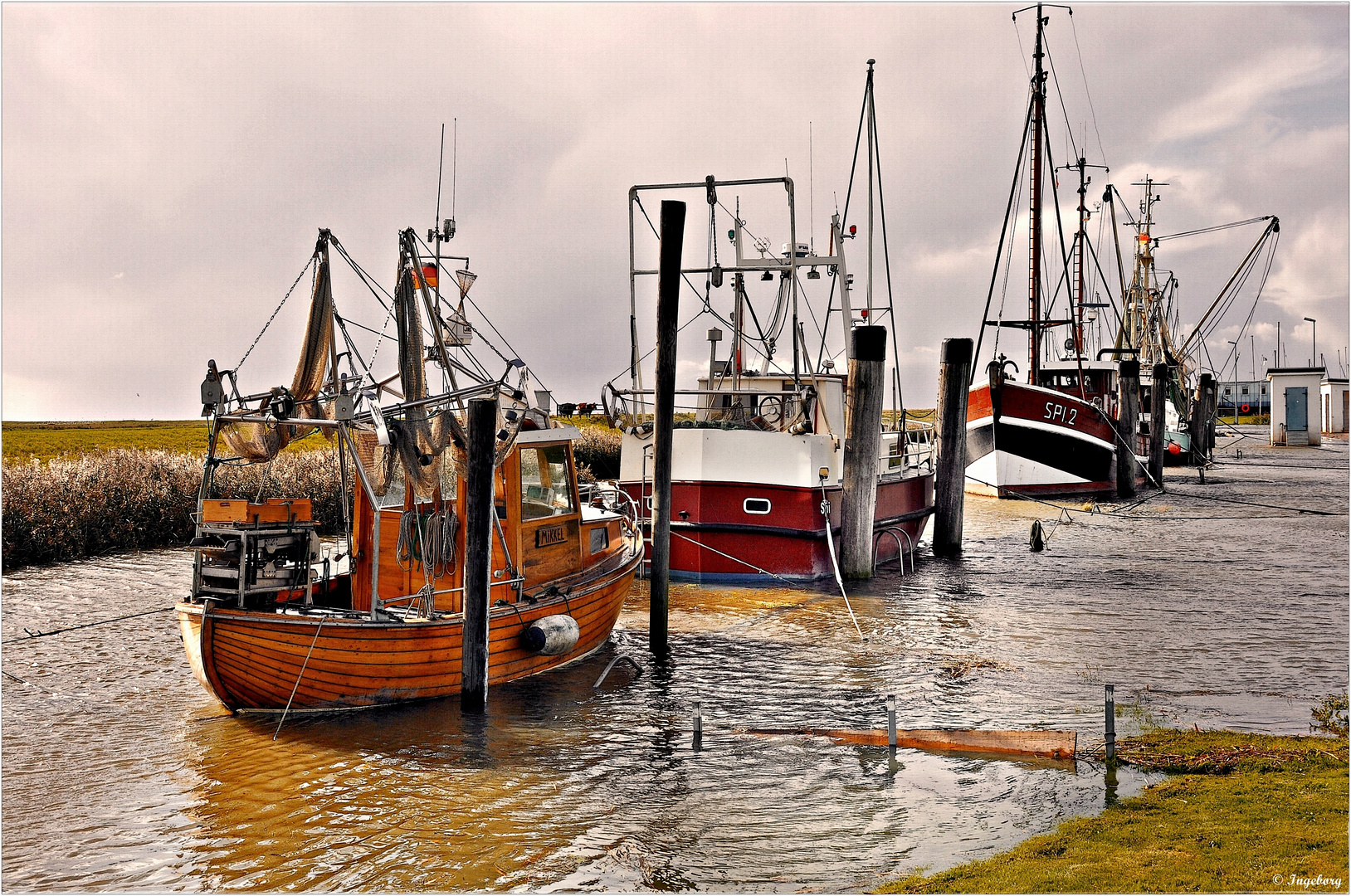 ~~ Fischereihafen in Spieka ~~