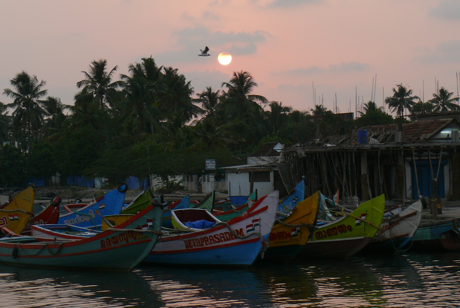 Fischereihafen Kochi