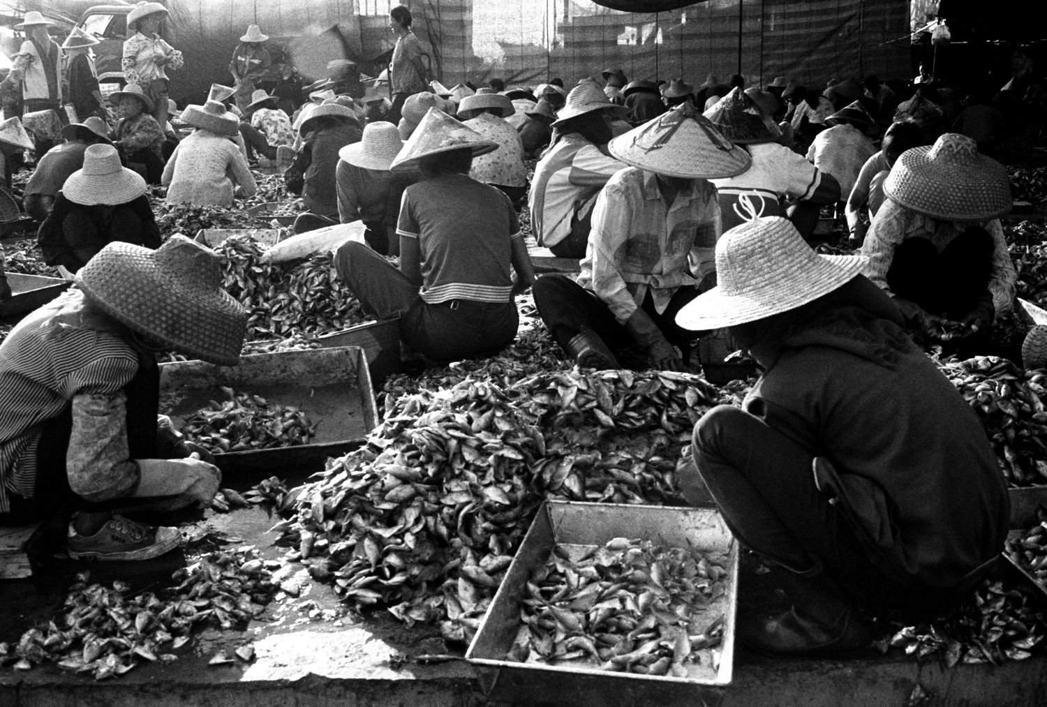 Fischereihafen Sanya, Hainan Island, China.