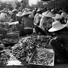 Fischereihafen Sanya, Hainan Island, China.